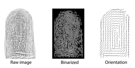 same fingerprints odds|Groundbreaking Study Reveals Your Fingerprints Aren't as.